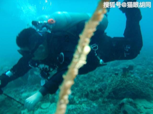 斯拉格精灵战争
